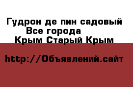 Гудрон де пин садовый - Все города  »    . Крым,Старый Крым